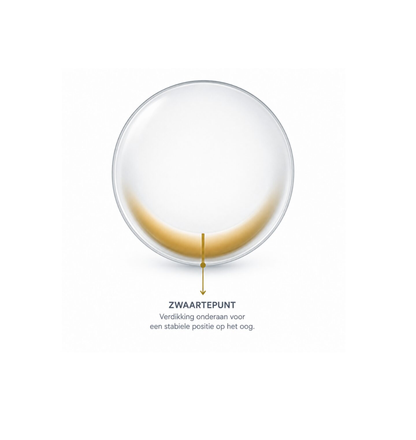Contactlens torisch Optiekpunt Roeselare